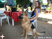 Isola d'Elba - Appartamenti le Querce, vacanze con il tuo animale, cane, gatto...