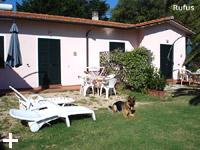 Elba Island - Apartments Le Querce, vacation at the sea with your dog, cat, animal...