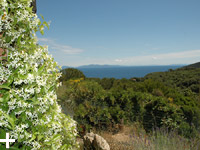 Apartments Le Querce on the island of Elba: private outside area, large garden, sea view