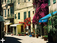 Appartamenti Le Querce - Isola d'Elba - Capoliveri