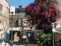 Appartamenti Le Querce - Isola d'Elba - Capoliveri