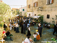 Appartamenti Le Querce - Isola d'Elba - Capoliveri