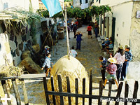 Appartamenti Le Querce - Isola d'Elba - Capoliveri