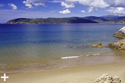 Isola d'Elba - Appartamenti Le Querce - Capoliveri - Spiaggia Le Calanchiole