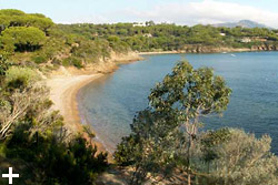 Elba Island - Apartments Le Querce - Capoliveri - Ferrato beach