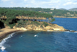 Isola d'Elba - Appartamenti Le Querce - Capoliveri - Spiaggia di Istia