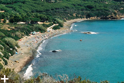 Isola d'Elba - Appartamenti Le Querce - Capoliveri - Spiaggia di Norsi