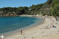 Elba Island - Apartments Le Querce - Capoliveri - Zuccale beach